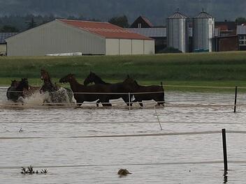 In Herrieden (Landkreis Ansbach) stand in kürzester Zeit eine Pferdekoppel unter Wasser.  Foto: NEWS5 / Merzbach