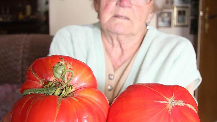Bis zu 800 Gramm wieder die Riesentomaten von Marga Fichtner.