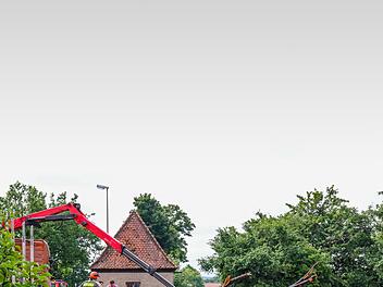 Ein Baum wird aus dem Hochwasser der Aisch geborgen.