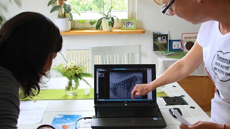 Tierärztin im Einsatz.