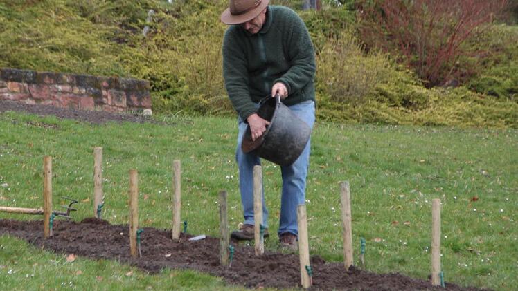 Robert Hildmann, Leiter der Kurgärtnerei des Staatsbades Bad Brückenau, versorgt nun die Weinreben. Foto: Ulrike Müller