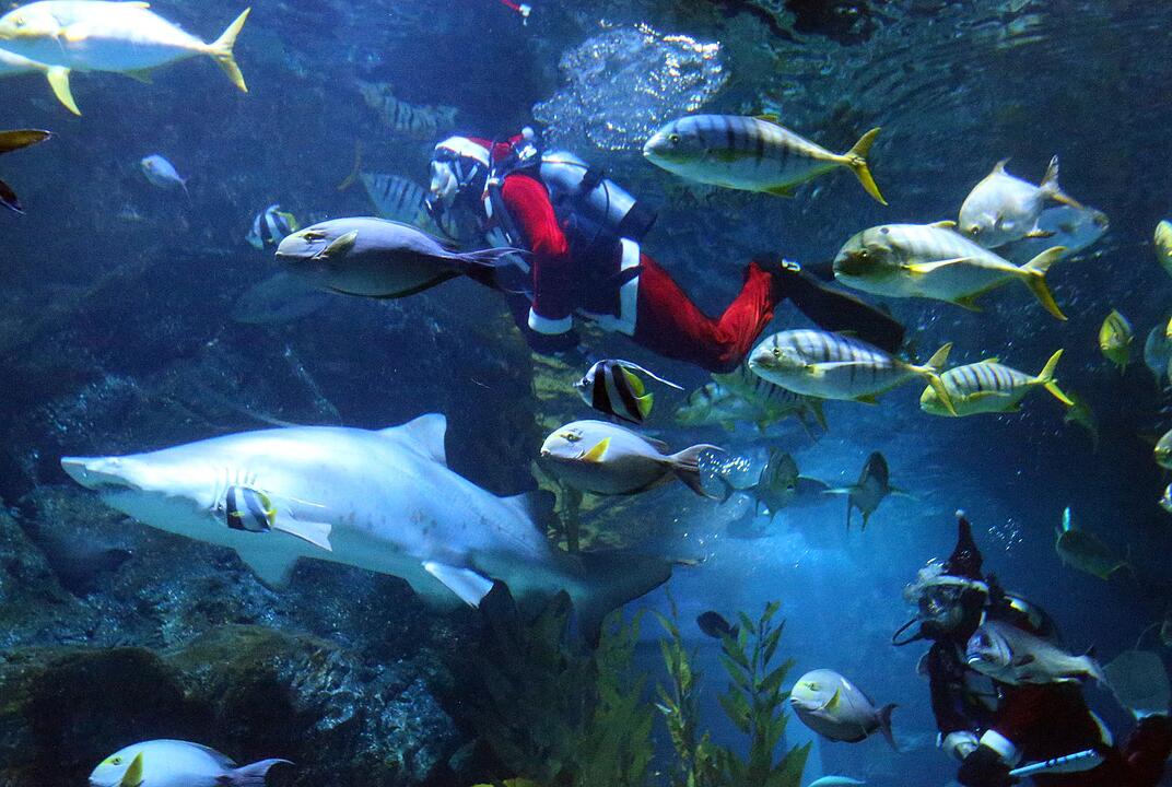 Vor Weihnachten in Thailand