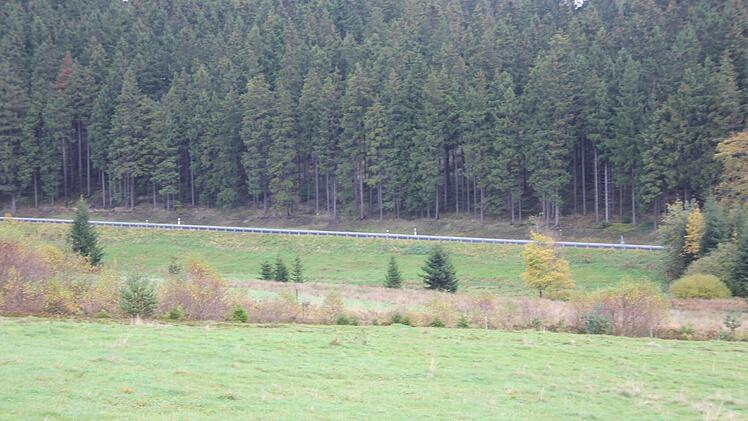 Blick vom Sportplatz aus in Richtung der Straße nach Spechtsbrunn