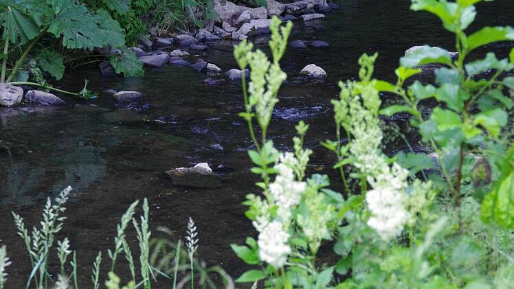 An der Wilden Rodach. Foto: Marco Meißner