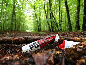 In diesem Waldstück bei Kist im Landkreis Würzburg wurde der entführter 50-jährige Sohn des Schrauben-Milliardär Reinhold Würth am 18. Juni aufgefunden.  Foto: dpa
