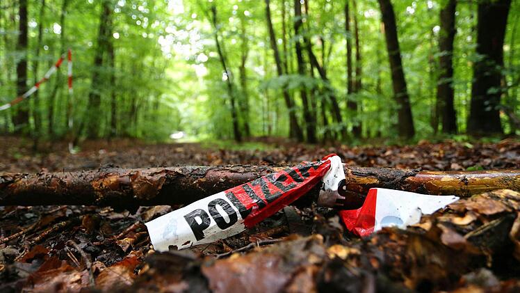 In diesem Waldstück bei Kist im Landkreis Würzburg wurde der entführter 50-jährige Sohn des Schrauben-Milliardär Reinhold Würth am 18. Juni aufgefunden.  Foto: dpa