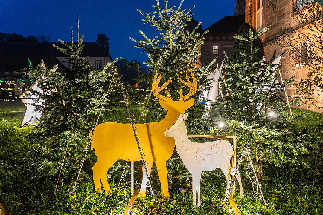Winterszeit - Magische und zauberhafte Atmosphäre! Winterszeit - Magische und zauberhafte Atmosphäre!