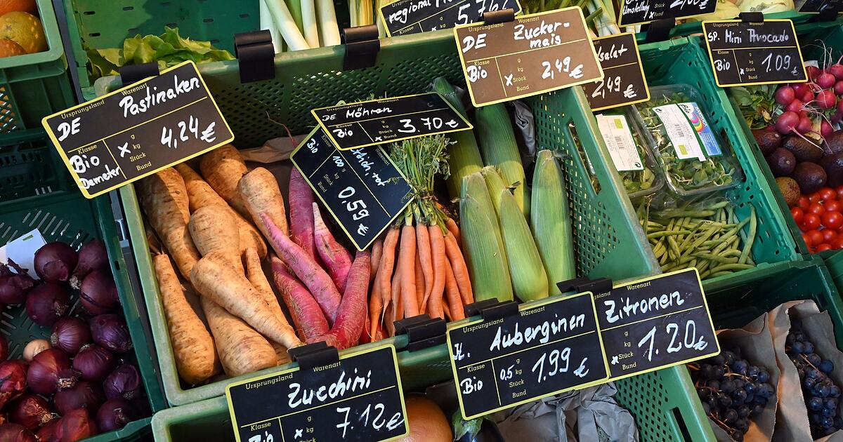 Bio-kr-ftig-im-Plus-aber-nicht-auf-den-Feldern