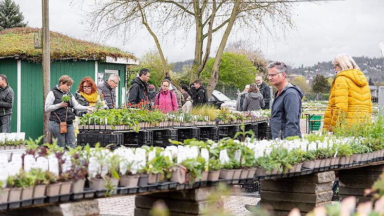 Bamberg: Nach langer Corona-Pause - "Tag der offenen G&auml;rtnereien" zog viele Interessierte an