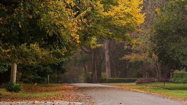 Wetter in Franken: Der Herbst ist da - Experte warnt vor erstem Frost
