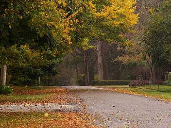 Wetter in Franken: Der Herbst ist da - Experte warnt vor erstem Frost