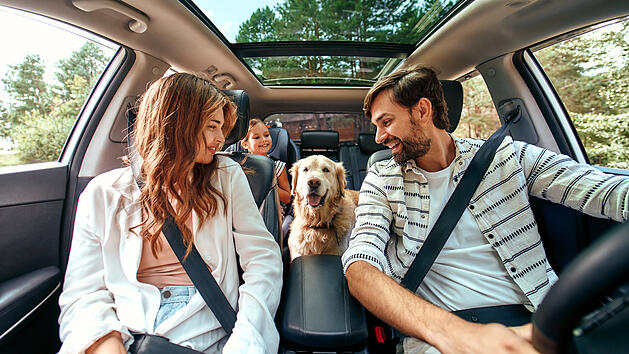 EU-Regeln Haustiere Reisen Hund Auto Familie Labrador Wochenendtrip Urlaub Autofahrt Heimtierausweis Mikrochip Tollwutimpfung Tiergesundheit Reisevorbereitung Reisedokumente Europa Grenz&uuml;bertritt Auslandsreise Transportf&auml;higkeit Sicherung im Auto Hundereise Ferien Tourismus Eltern Kind Familienurlaub Haustier Reisebestimmungen Hund im Auto Symbolbild Reiseplanung