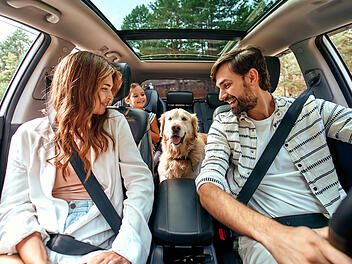 EU-Regeln Haustiere Reisen Hund Auto Familie Labrador Wochenendtrip Urlaub Autofahrt Heimtierausweis Mikrochip Tollwutimpfung Tiergesundheit Reisevorbereitung Reisedokumente Europa Grenz&uuml;bertritt Auslandsreise Transportf&auml;higkeit Sicherung im Auto Hundereise Ferien Tourismus Eltern Kind Familienurlaub Haustier Reisebestimmungen Hund im Auto Symbolbild Reiseplanung