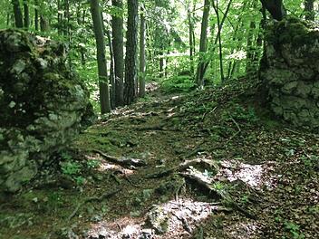 &Uuml;ber Wurzeln und Steine weg: Der 9. Frankenweg-Lauf am 11. Juni ist pures Trailrunning-Vergn&uuml;gen.  Foto: privat