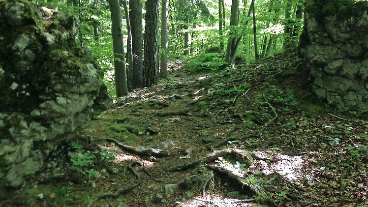 &Uuml;ber Wurzeln und Steine weg: Der 9. Frankenweg-Lauf am 11. Juni ist pures Trailrunning-Vergn&uuml;gen.  Foto: privat