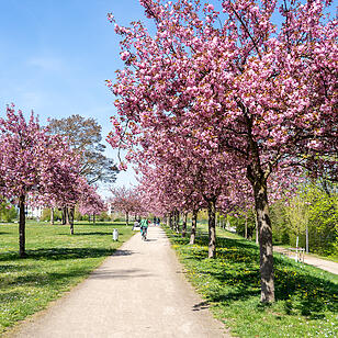 Wundersch&ouml;ne Naturfotos aus Bamberg.