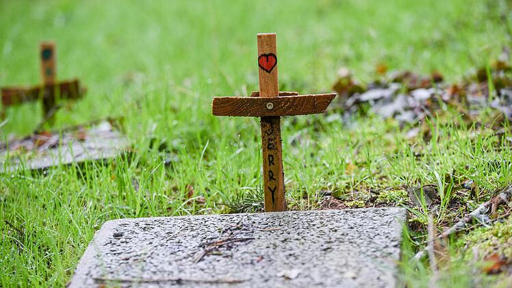 An gestorbene Tiere erinnern Holzkreuze.  Foto: Obermeier
