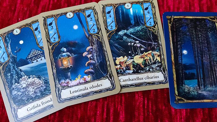 Spiele-Test Fungi: Kartenspiel für zwei Pilzsammler