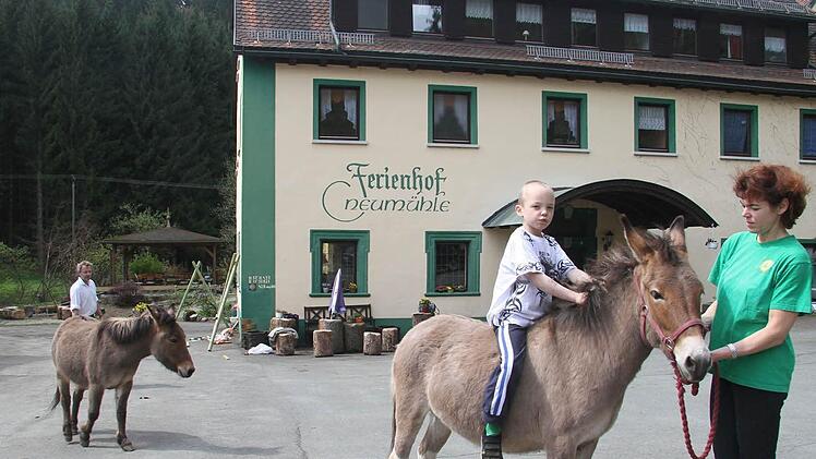 Maja Joel und Heiko Müller (im Hintergrund) gewöhnen die Mulis langsam an ihre neue Aufgabe.