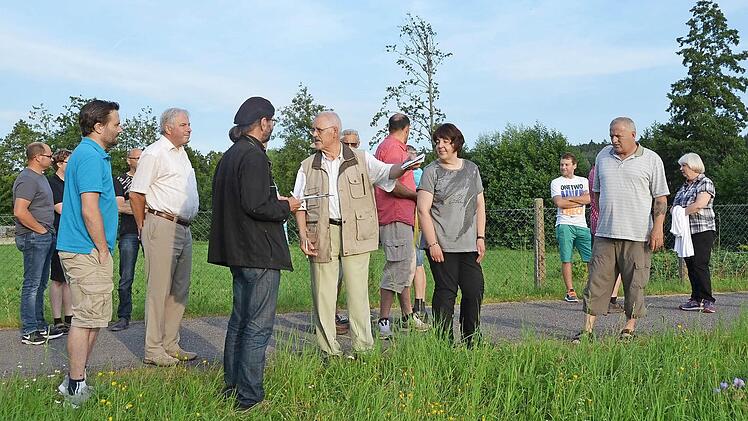 Öffentliche Flächen - hohes Gras: Die Pflege ist kritikwürdig. Foto: Peter Rauch