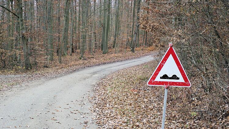 Lange diskutiert, heuer soll der Weg zwischen Machtilshausen und Wasserlosen (Foto) einen Asphaltbelag erhalten. Foto: Ehling