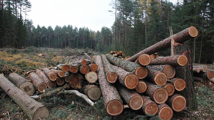Diese Fixlängen werden bald abtransportiert.  Foto: Friedwald Schedel