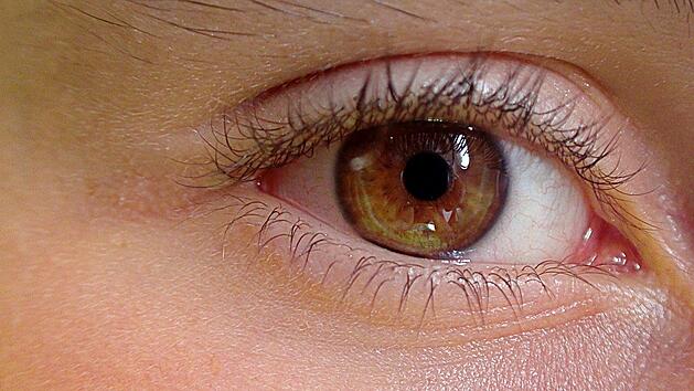 Das Auge ist das leistungsfähigste Sinnesorgan, aber auch sehr empfindlich.