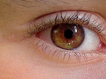 Das Auge ist das leistungsfähigste Sinnesorgan, aber auch sehr empfindlich.