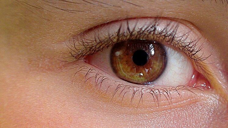 Das Auge ist das leistungsfähigste Sinnesorgan, aber auch sehr empfindlich.