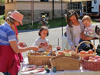 Viel zu sehen und eine ungeheure Bandbreite an Ständen gab es beim Gartenfestival in Maria Bildhausen.  Foto: Dieter Britz