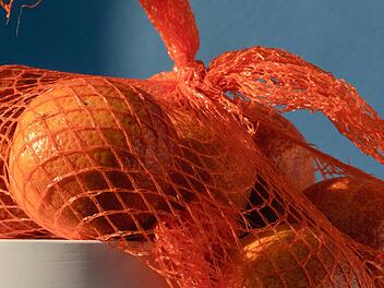 Neustadt bei Coburg: Orangen-Netz wird fast zur tödlichen Falle - Tierärztin warnt
