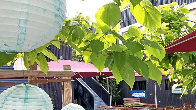 Der Garten des E-Werks