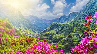 Madeira &ndash; die Insel des ewigen Fr&uuml;hlings