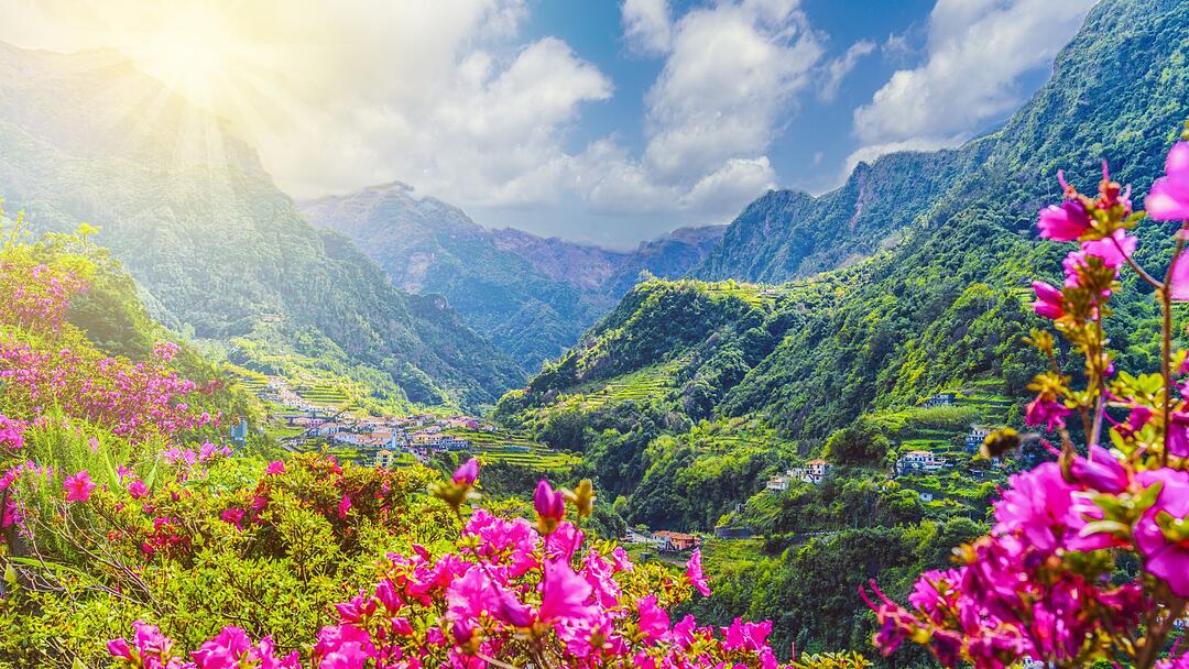 Madeira – die Insel des ewigen Frühlings