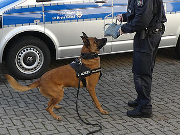 Jugendliche steigen auf Schuldach in Bad Neustadt an der Saale: Drogensp&uuml;rhund im Einsatz