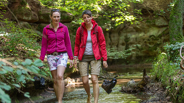 Bitterbachschlucht bei Lauf an der Pegnitz im Nürnberger Land