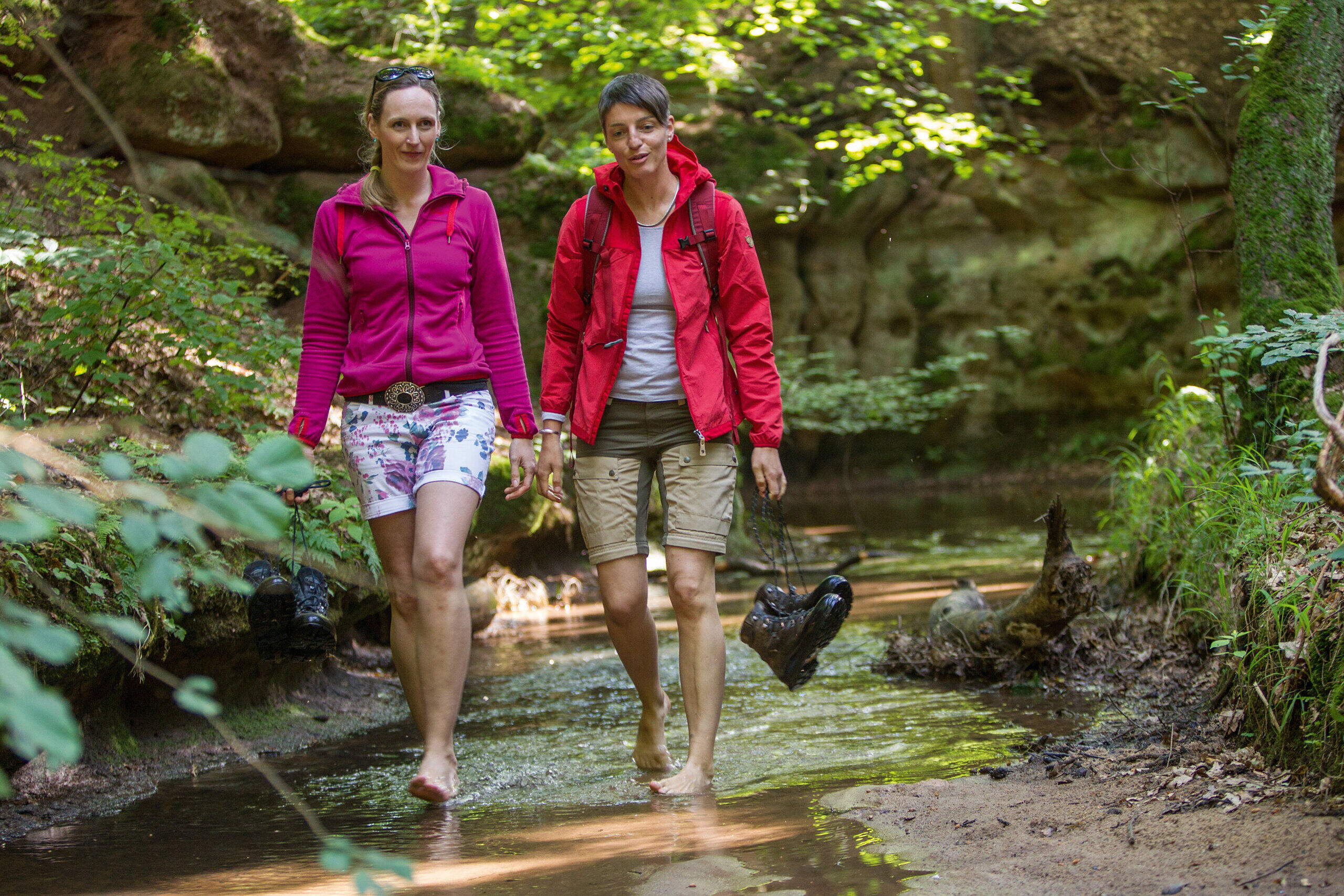 Wandern in Franken Die 11 schönsten Touren im Herbst