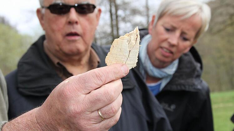 Robert Hildmann zeigt die Holzspäne, die die Biber aus den Stämmen heraus arbeiten.