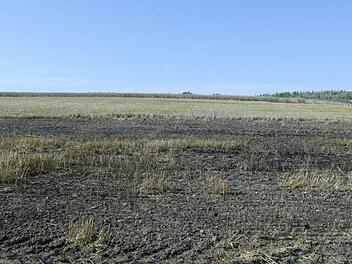 Auf diesem Feld hat es erst vor wenigen Tagen gebrannt. Foto: Petra Malbrich