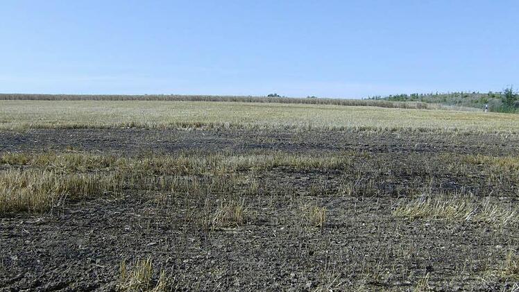 Auf diesem Feld hat es erst vor wenigen Tagen gebrannt. Foto: Petra Malbrich