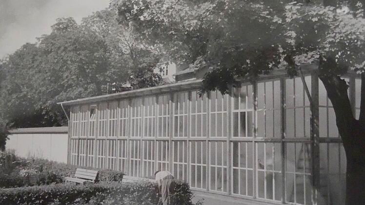 Nur noch Erinnerung ist das einstige Palmenhaus (Foto von 1950), das einem Neubau gewichen ist.Foto: Archiv
