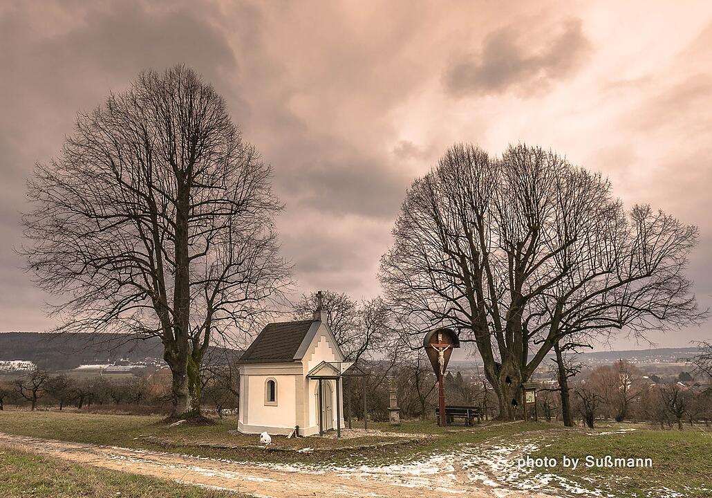 Die schönsten Fotos im Februar aus Forchheim und Umgebung