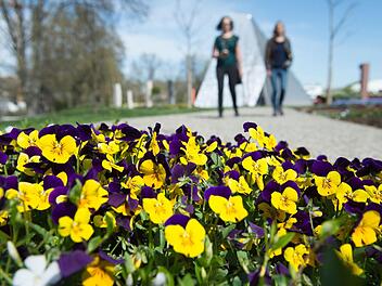 W&uuml;rzburg: Besucherinnen gehen w&auml;hrend der Er&ouml;ffnung der Landesgartenschau W&uuml;rzburg 2018 an einem Beet mit Stiefm&uuml;tterchen vorbei. Die Landesgartenschau dauert bis zum 7. Oktober 2018. Foto: Timm Schamberger/dpa
