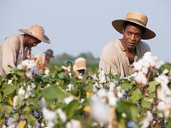 "12 Years a Slave" Mit Peitschenhieben werden Solomon (Chiwetel Ejiofor) und die anderen Sklaven zum Baumwollpflücken angehalten.