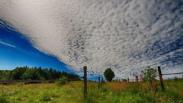 Nach monatelangem, z&auml;hem Ringen hat sich die Landesregierung auf das weitere Vorgehen im Nationalpark-Streit geeinigt.  Foto: Sonja Demmler