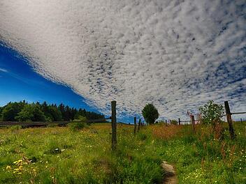Nach monatelangem, z&auml;hem Ringen hat sich die Landesregierung auf das weitere Vorgehen im Nationalpark-Streit geeinigt.  Foto: Sonja Demmler