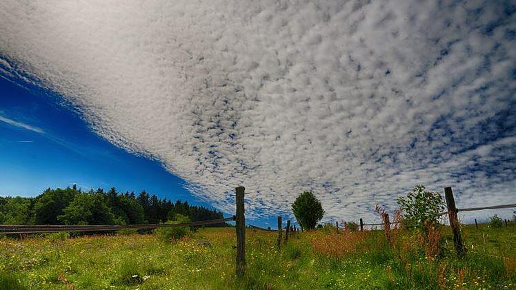 Nach monatelangem, z&auml;hem Ringen hat sich die Landesregierung auf das weitere Vorgehen im Nationalpark-Streit geeinigt.  Foto: Sonja Demmler
