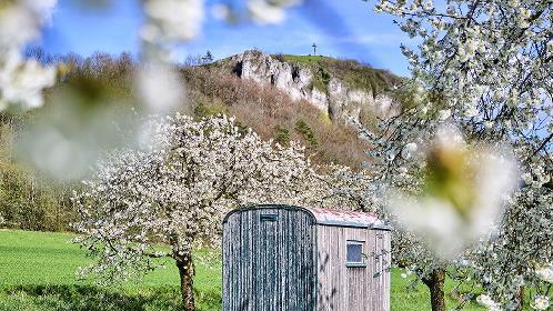 Die Kirschbl&uuml;te rund um das Walberla beginnt.