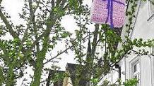 Ein Geschenk hängt in Ebermannstadt im Baum.  Foto: J. Kortner