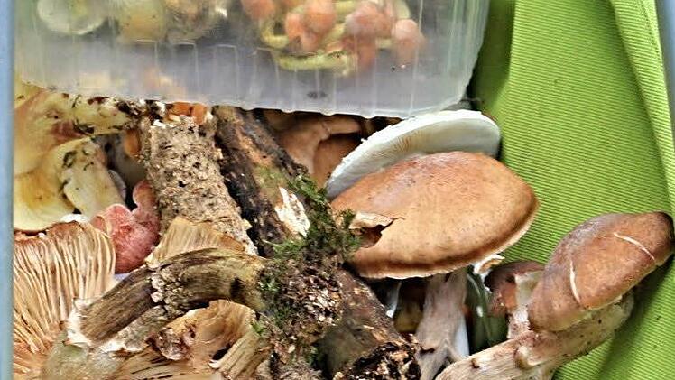 Reiche "Beute".Foto: Helmut Will